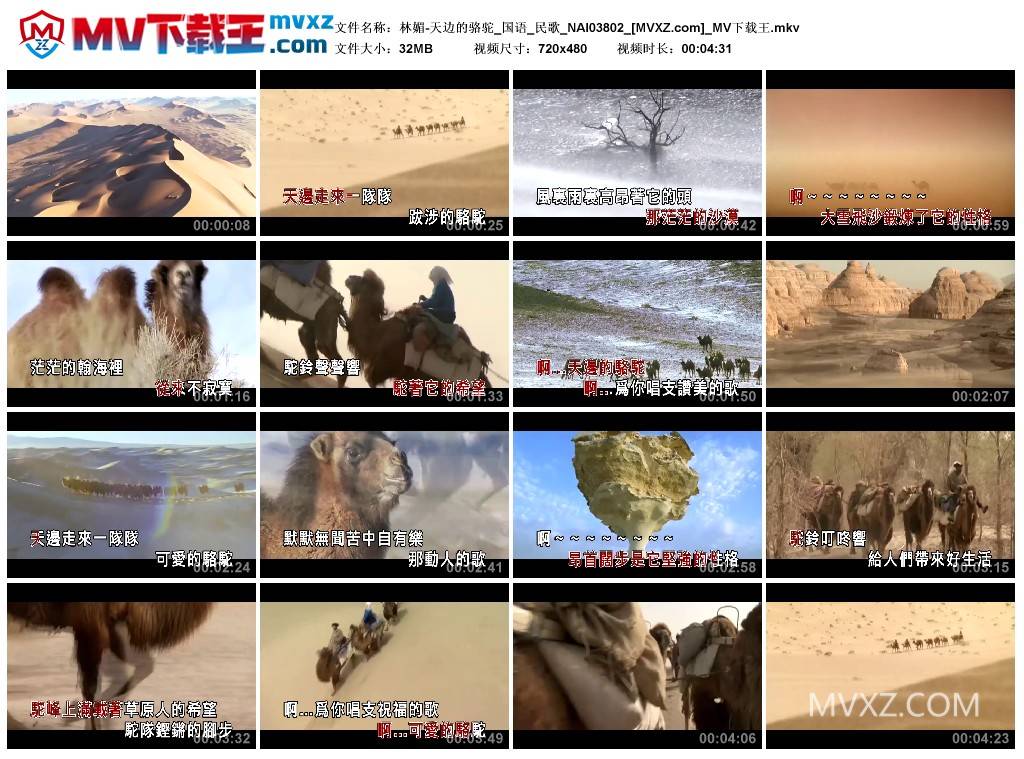 林媚-天边的骆驼_国语_民歌_NAI03802